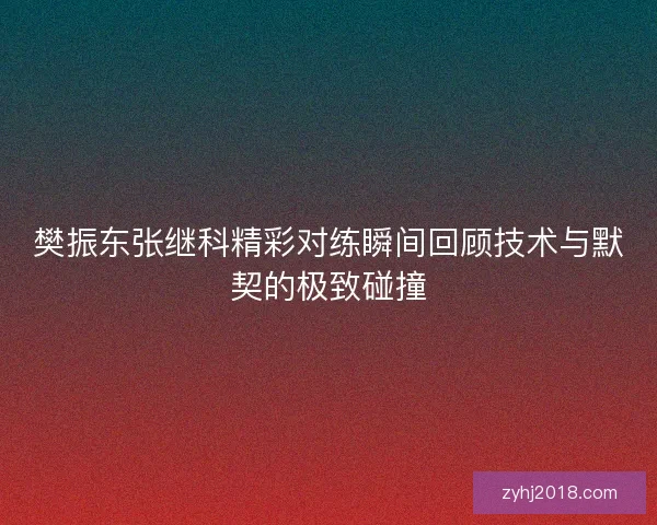 樊振东张继科精彩对练瞬间回顾技术与默契的极致碰撞