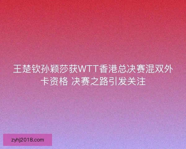 王楚钦孙颖莎获WTT香港总决赛混双外卡资格 决赛之路引发关注